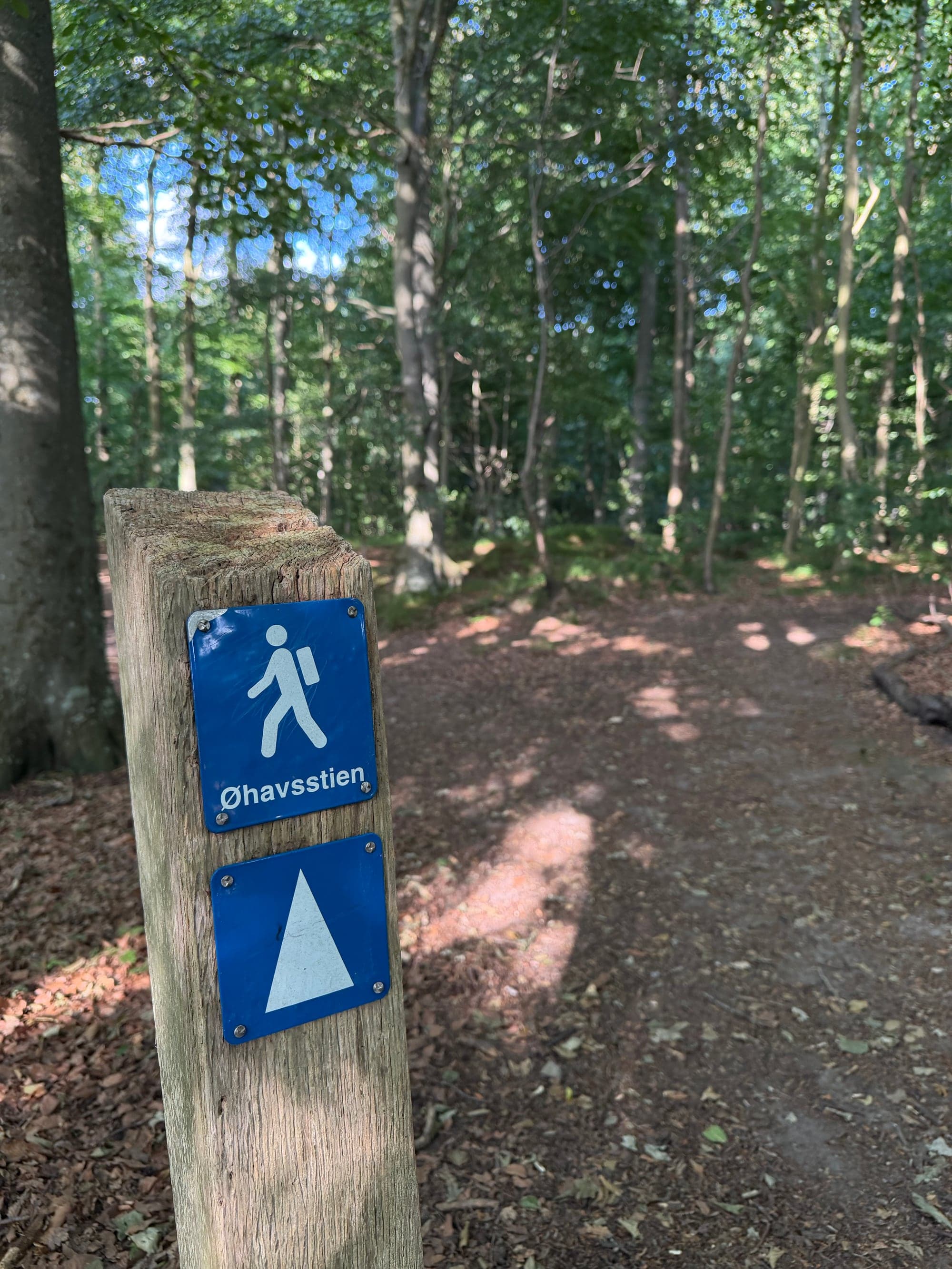 Skilt for Øhavsstien i skoven