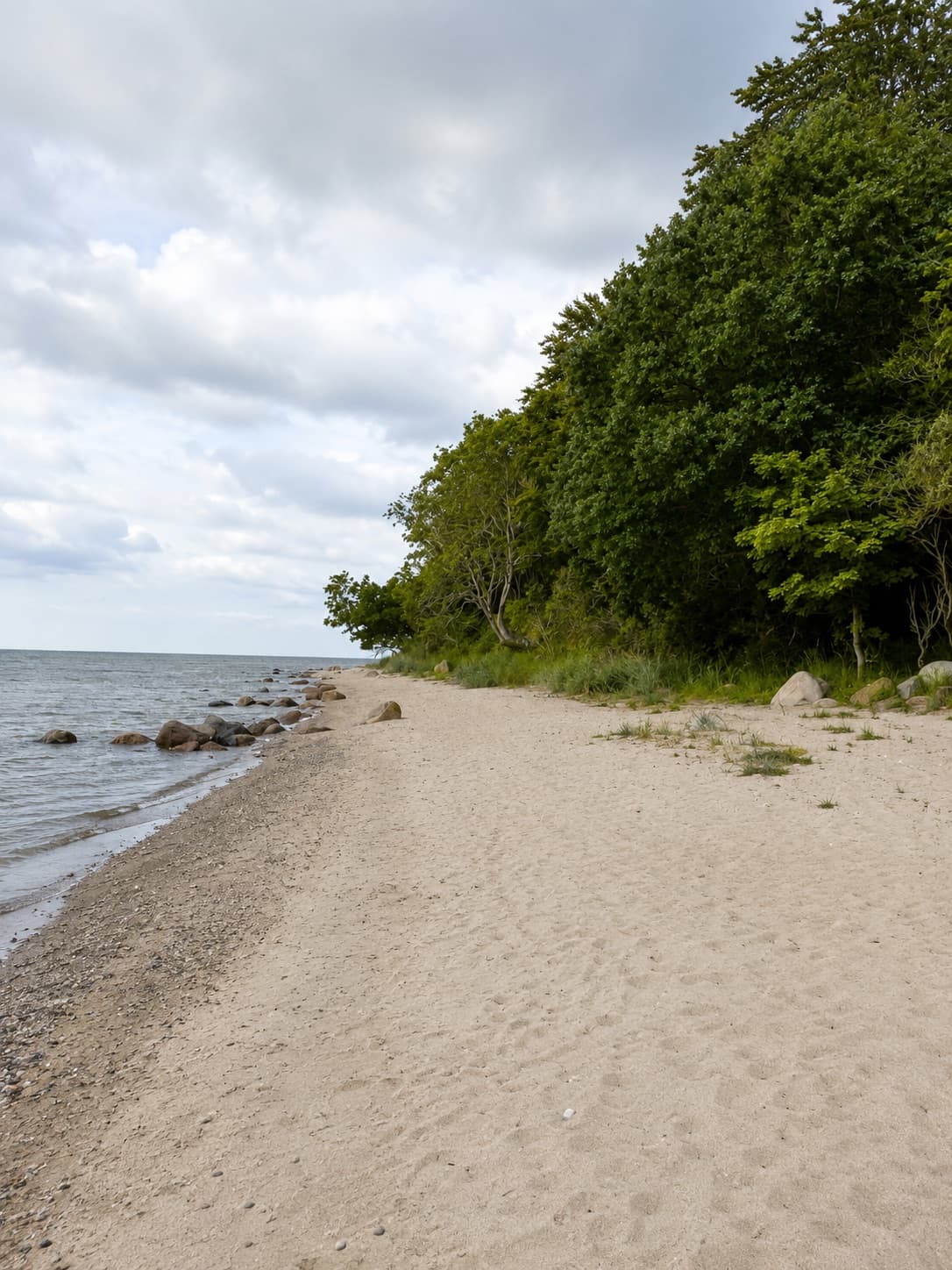 Sandy beach at Stengade Skov with stones at the waterline and a view over the Great Belt