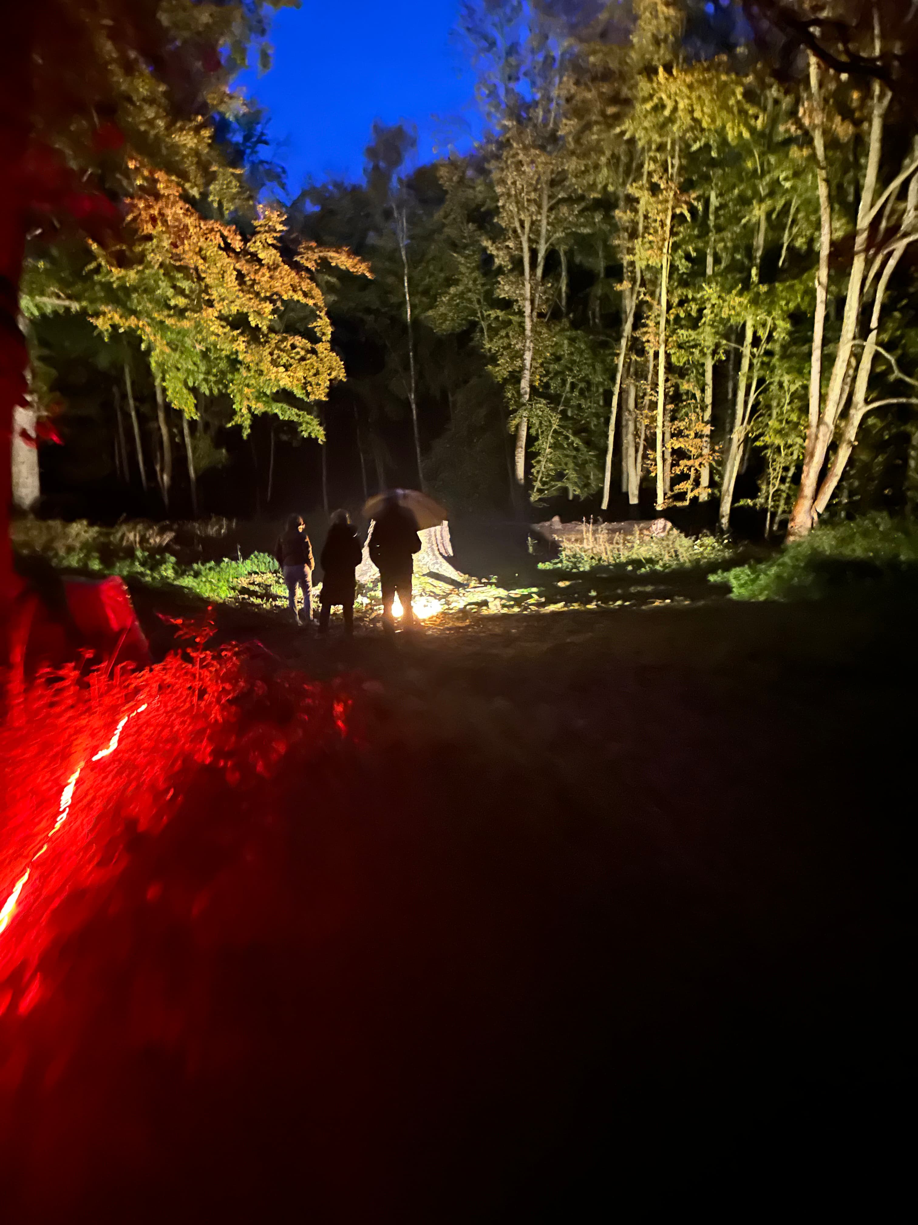 Visitors walk through the park, bathed in red light, during Lys i mørket.