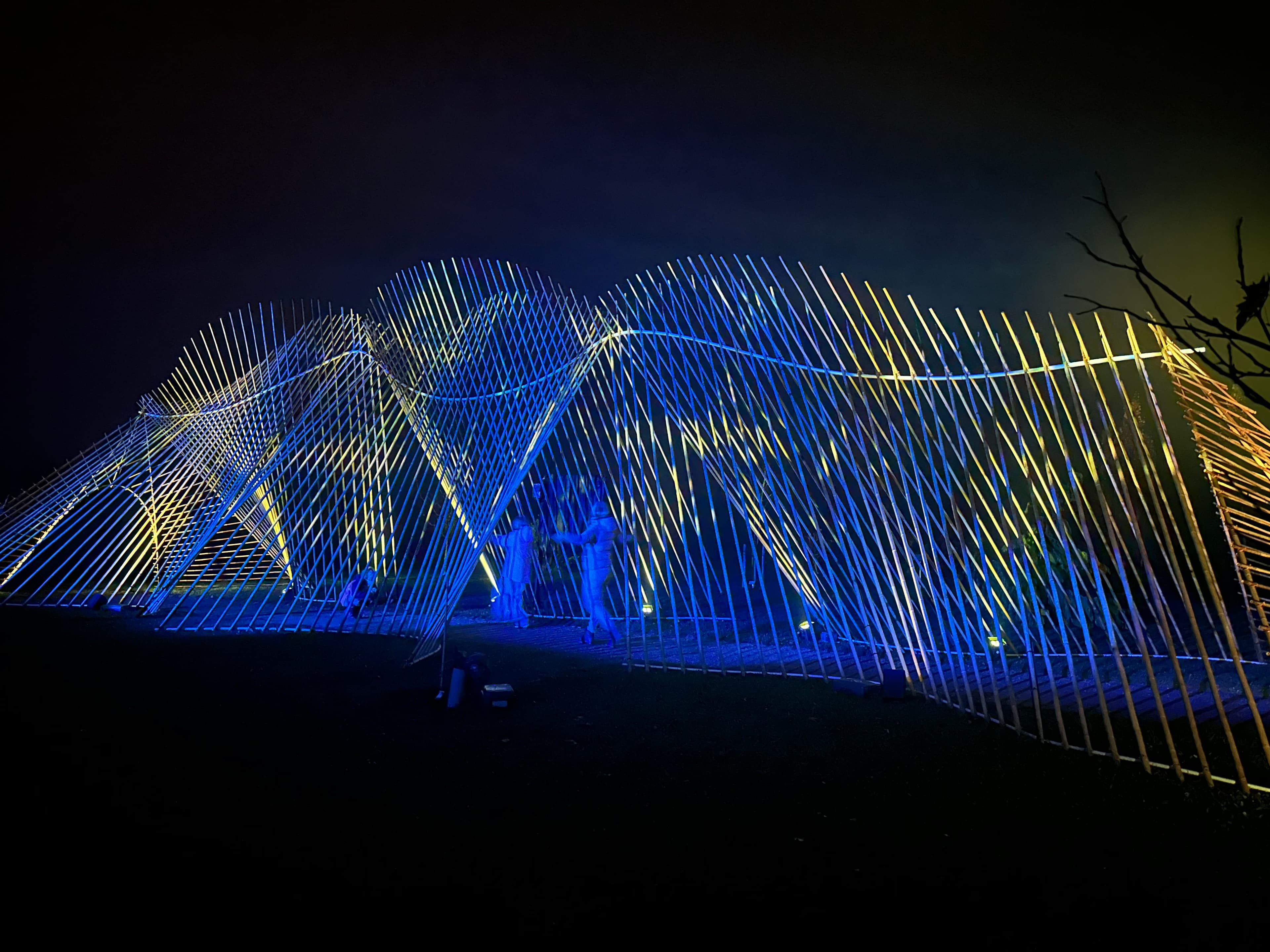 A wave-shaped light installation of bamboo poles in blue and gold, that visitors walk through.