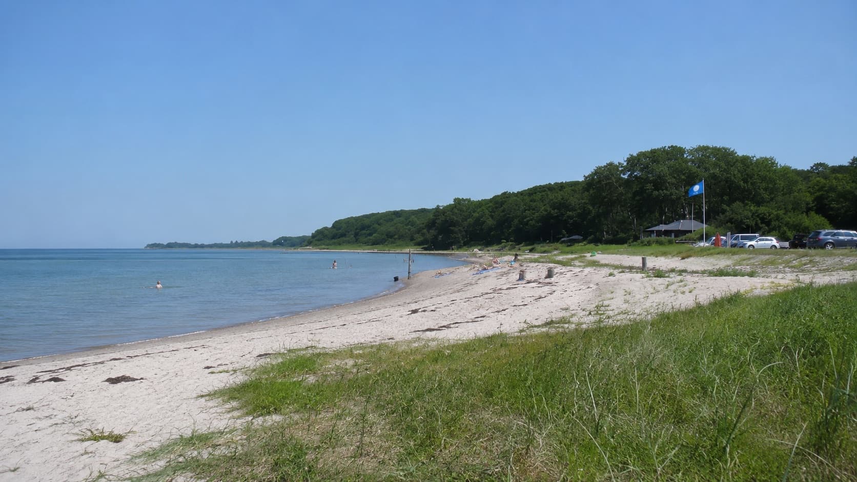 Blå Flag-badestrand med badende og skovklædt kystlinje