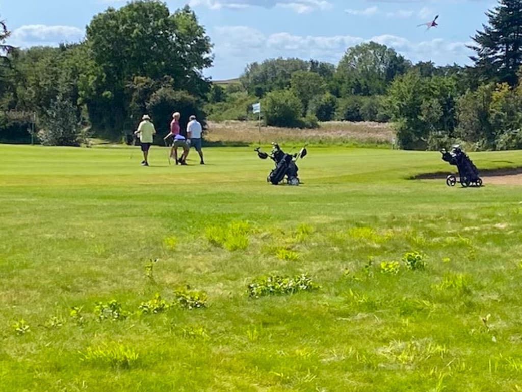 Langelands Golf Klub, billede 7