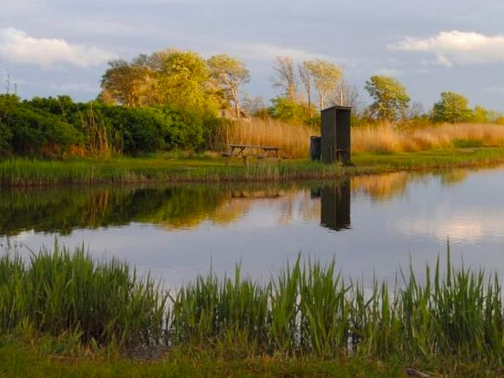 Spodsbjerg Lystfiskersø, billede 4