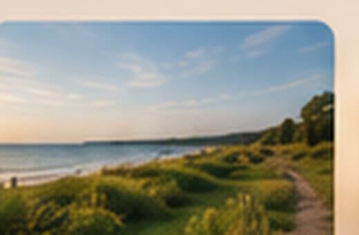 Coastline by the beach in summer