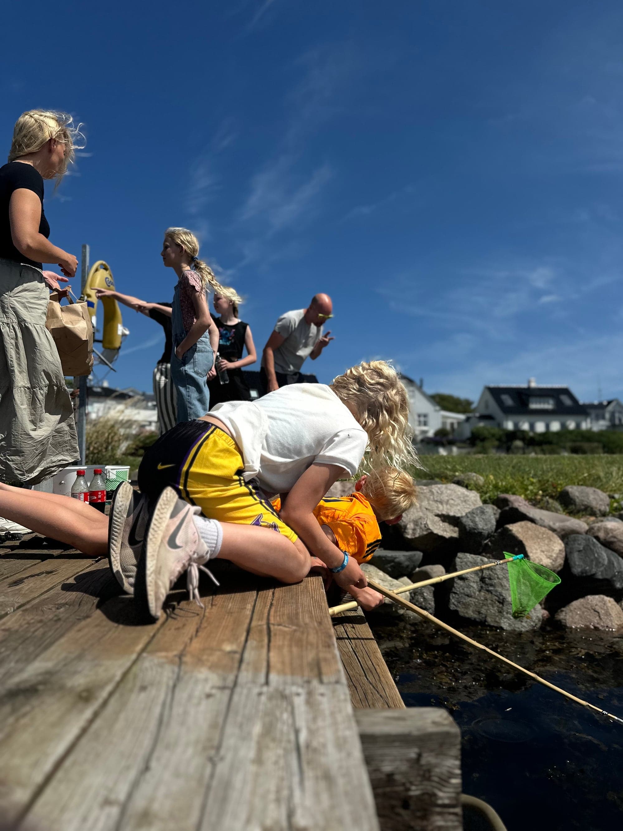 Børn fisker efter krabber fra broen ved Lohals Havn