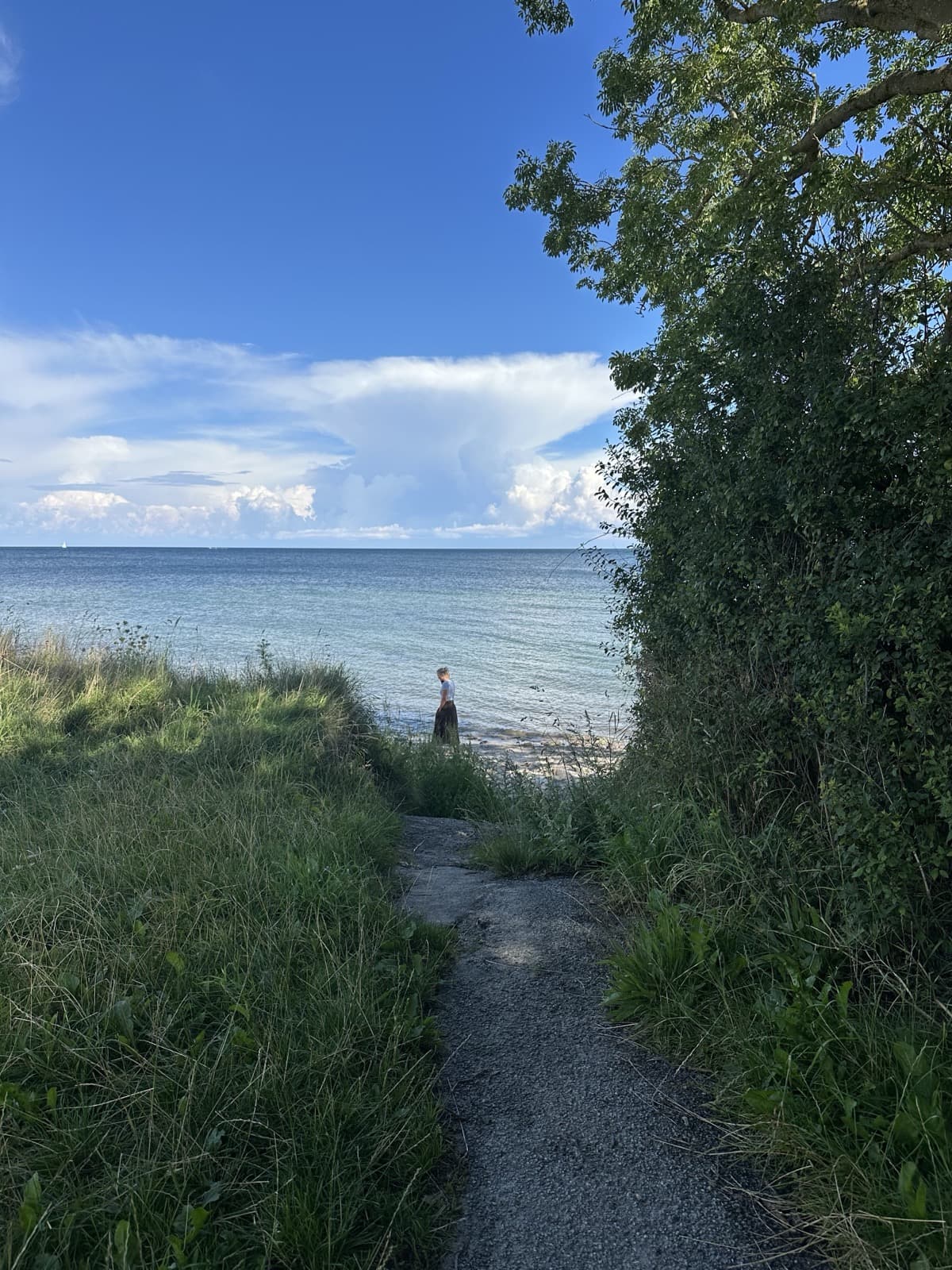 Path through tall grass down to Østerhuse Strand with a person at the water's edge