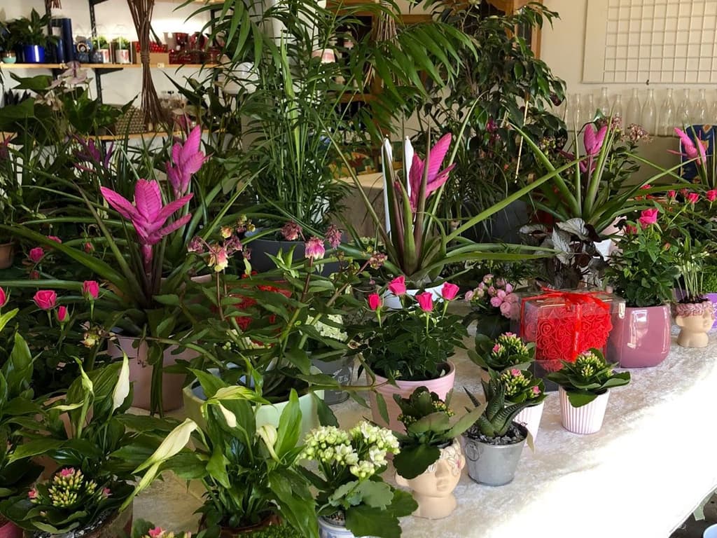 Tved's Blomster in Lohals